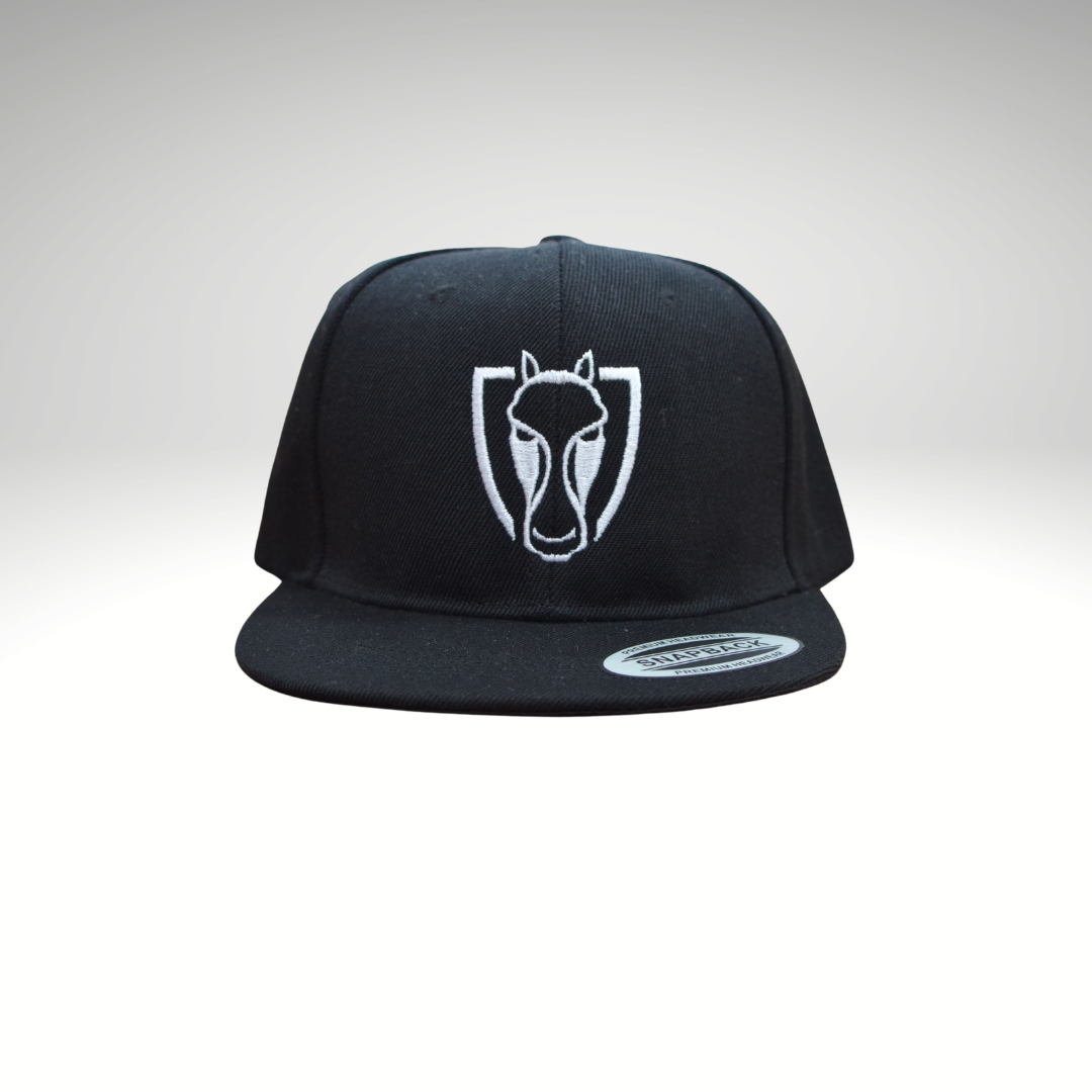 Embroidered Snapback Hat - Black